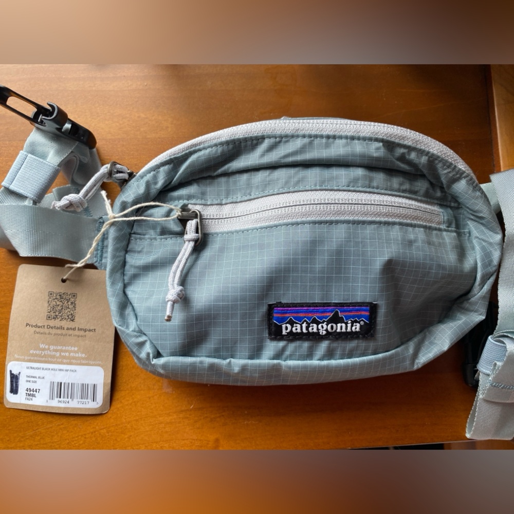 Patagonia Hip Pack NWT